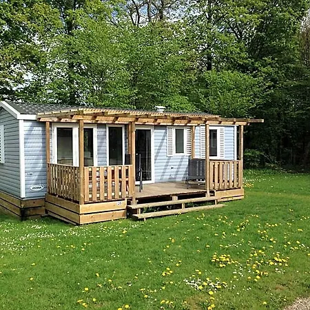 Family &
